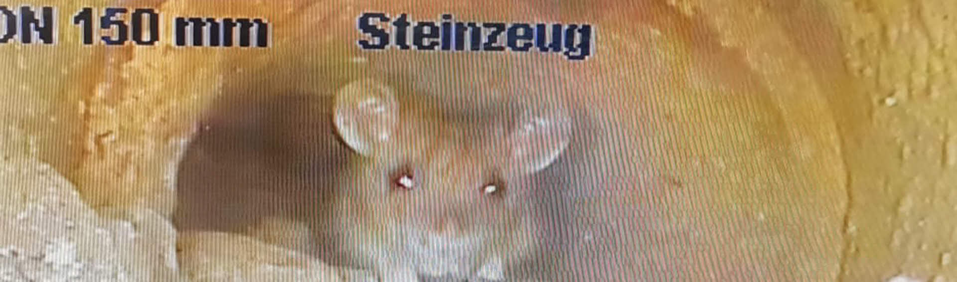 maus.jpg